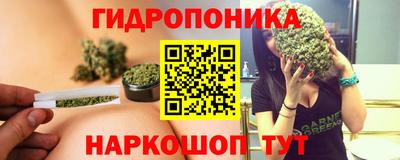 индика Краснознаменск