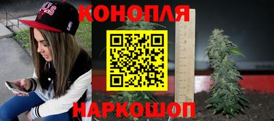 индика Краснознаменск
