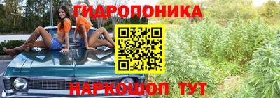 индика Краснознаменск