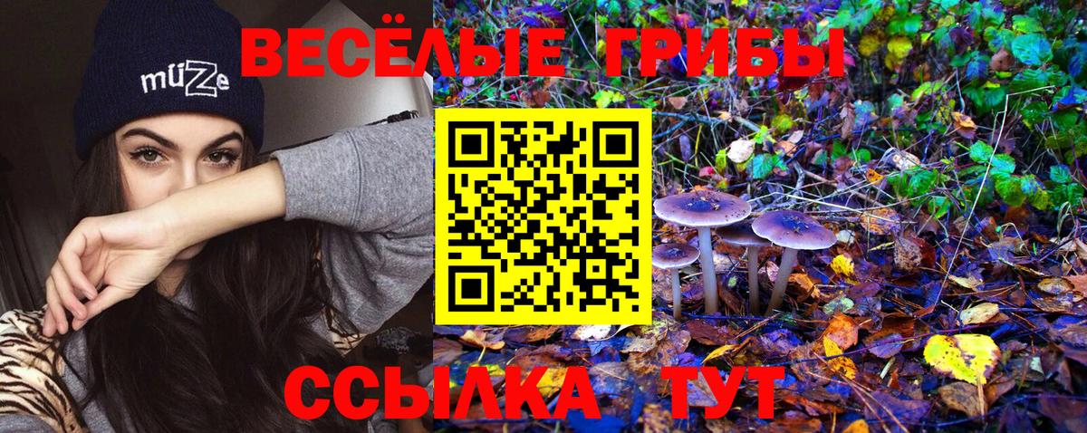 Шебекино  Галлюциногенные грибы MAGIC MUSHROOMS  закладка  Псилоцибиновые грибы Cubensis  Вход с VPN 